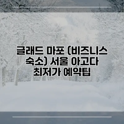 글래드 마포 (비즈니스 숙소) 서울 아고다 최저가 예약팁