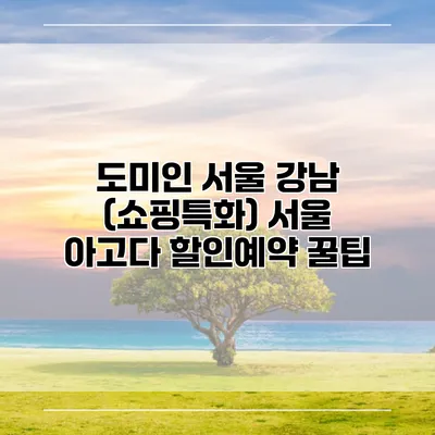 도미인 서울 강남 (쇼핑특화) 서울 아고다 할인예약 꿀팁