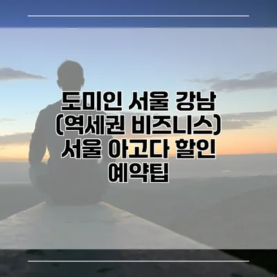 도미인 서울 강남 (역세권 비즈니스) 서울 아고다 할인 예약팁