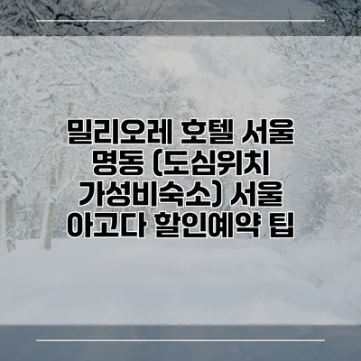 밀리오레 호텔 서울 명동 (도심위치 가성비숙소) 서울 아고다 할인예약 팁