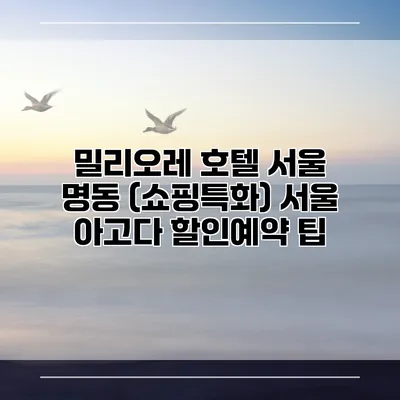 밀리오레 호텔 서울 명동 (쇼핑특화) 서울 아고다 할인예약 팁