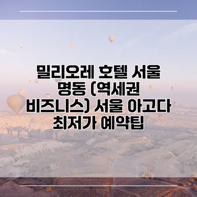 밀리오레 호텔 서울 명동 (역세권 비즈니스) 서울 아고다 최저가 예약팁