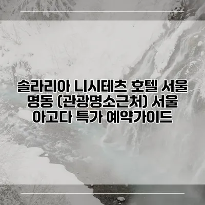 솔라리아 니시테츠 호텔 서울 명동 (관광명소근처) 서울 아고다 특가 예약가이드