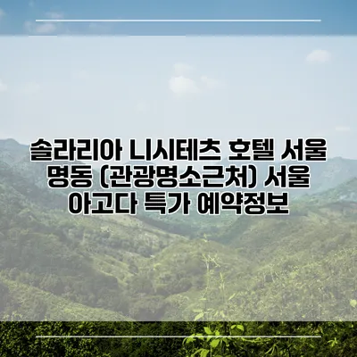 솔라리아 니시테츠 호텔 서울 명동 (관광명소근처) 서울 아고다 특가 예약정보