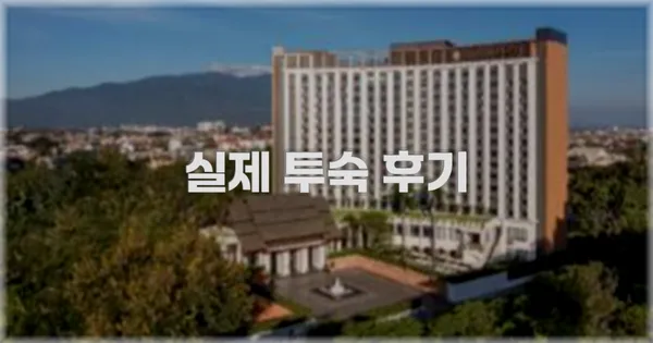 💬 실제 투숙 후기