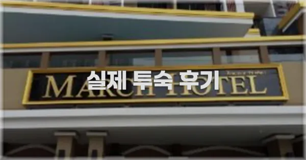 💬 실제 투숙 후기