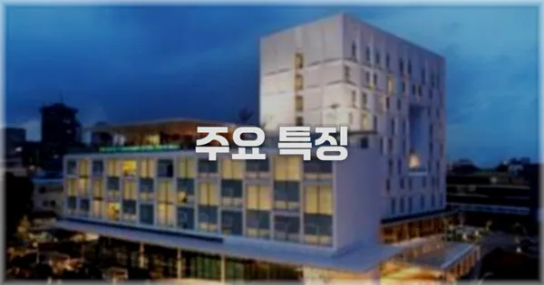 ✨ 주요 특징