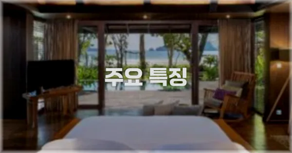 ✨ 주요 특징