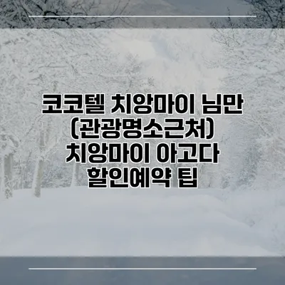 코코텔 치앙마이 님만 (관광명소근처) 치앙마이 아고다 할인예약 팁
