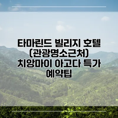 타마린드 빌리지 호텔 (관광명소근처) 치앙마이 아고다 특가 예약팁