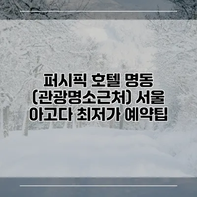 퍼시픽 호텔 명동 (관광명소근처) 서울 아고다 최저가 예약팁