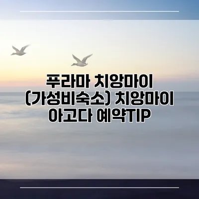 푸라마 치앙마이 (가성비숙소) 치앙마이 아고다 예약TIP