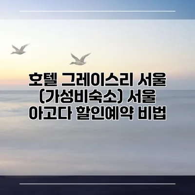 호텔 그레이스리 서울 (가성비숙소) 서울 아고다 할인예약 비법