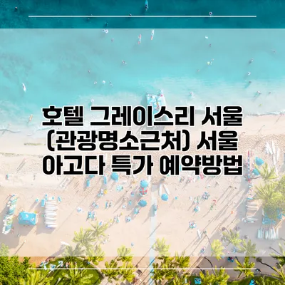 호텔 그레이스리 서울 (관광명소근처) 서울 아고다 특가 예약방법