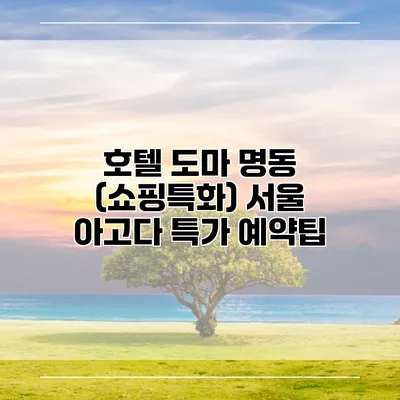 호텔 도마 명동 (쇼핑특화) 서울 아고다 특가 예약팁