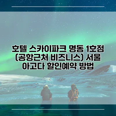호텔 스카이파크 명동 1호점 (공항근처 비즈니스) 서울 아고다 할인예약 방법