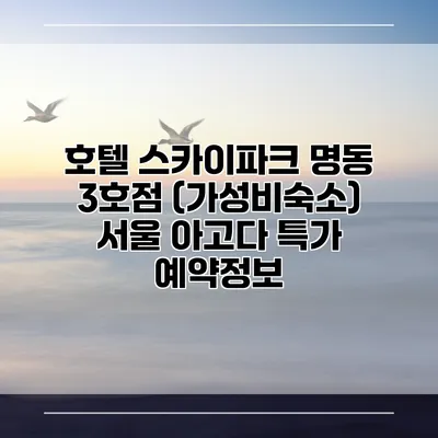 호텔 스카이파크 명동 3호점 (가성비숙소) 서울 아고다 특가 예약정보