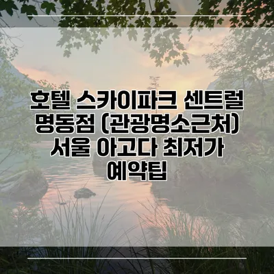 호텔 스카이파크 센트럴 명동점 (관광명소근처) 서울 아고다 최저가 예약팁