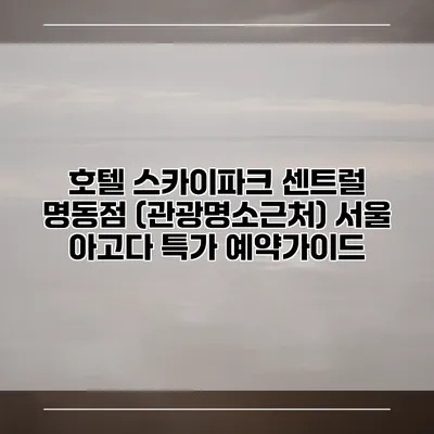 호텔 스카이파크 센트럴 명동점 (관광명소근처) 서울 아고다 특가 예약가이드